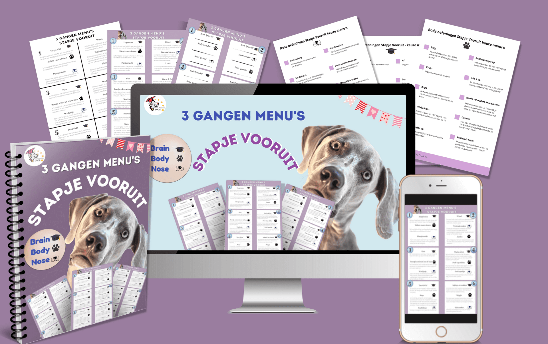 volwassen hond oefeningen pdf online