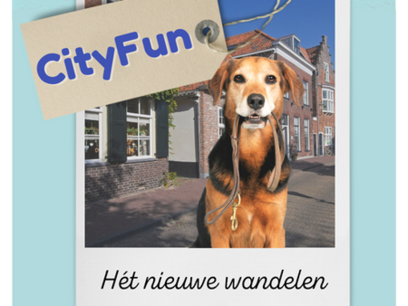 online hondentraining om wandelen met je hond leuker te maken