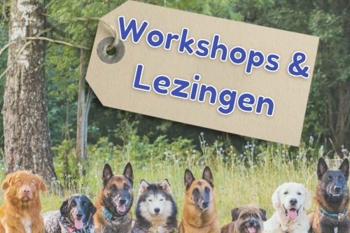 workshops over honden lezingen trainingen