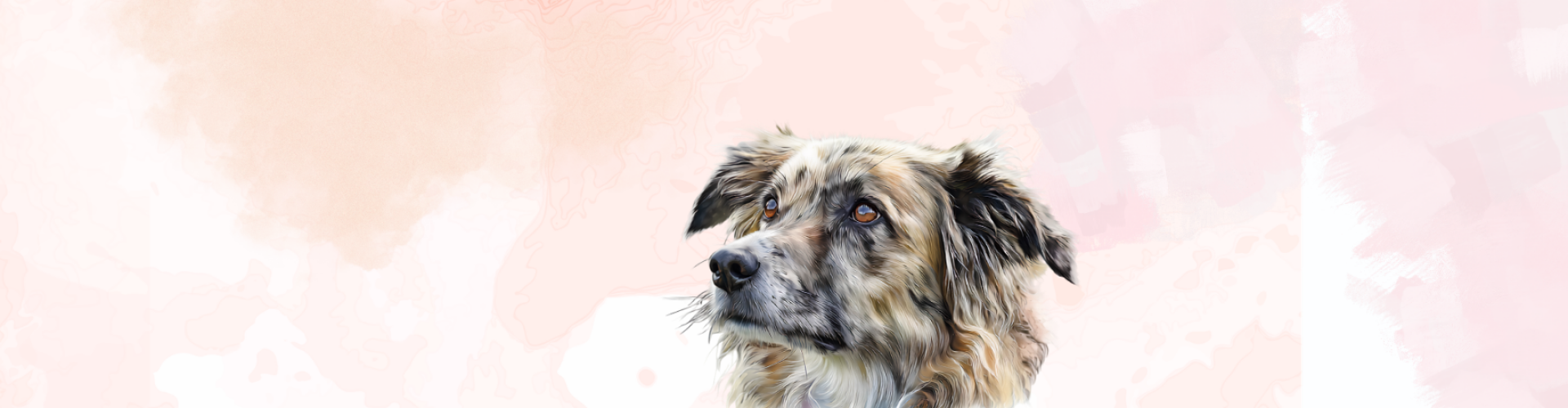 basis-voor-je-hond