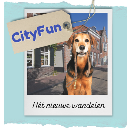 cityfun voor hondenbaasjes online cursus