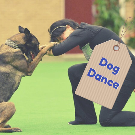 dogdance