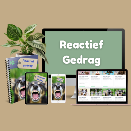 cursus uitvallende hond