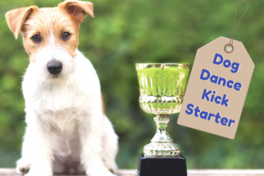 laat je concurrentie mijlenver achter je met de dogdance kickstarter