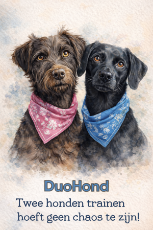 duohond cursus loca duohond cursus loca