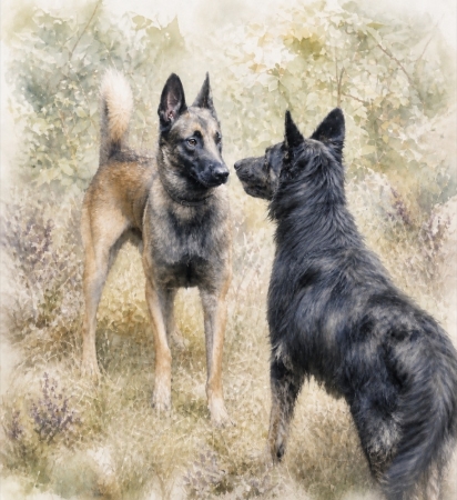 Watercolor illustratie van twee honden tijdens een gespannen ontmoeting