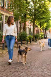 cursus uitvallende hond