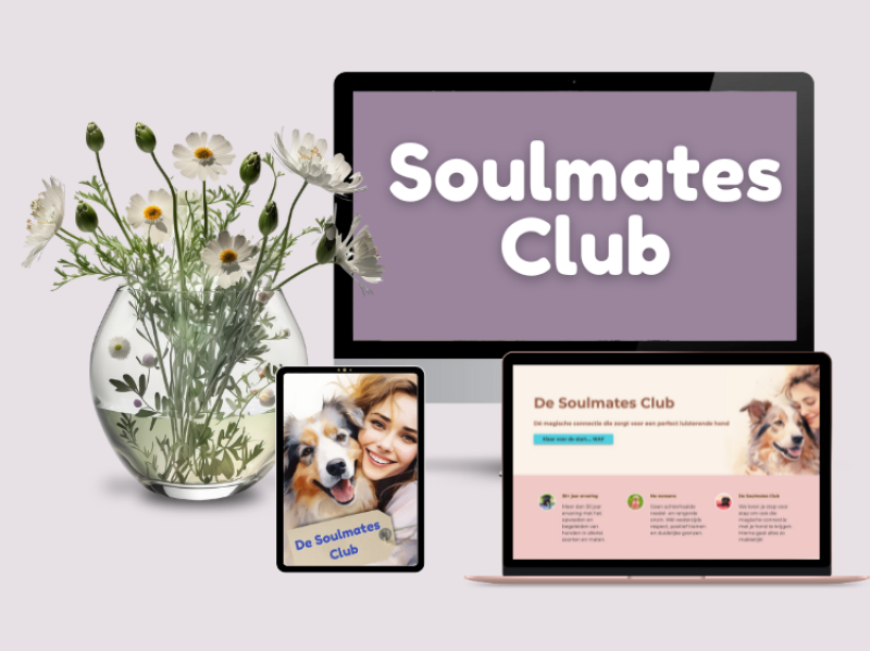 soulmates club