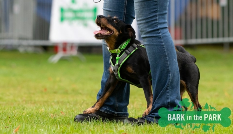 demo bark in the park