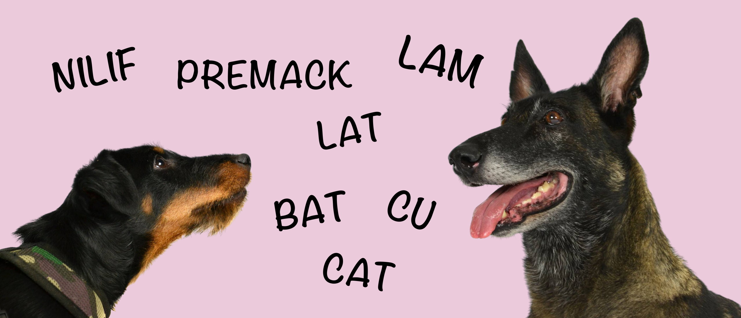 Wat is BAT training? En wat zijn andere trainingsmethodes zoals LAT, LAM, CAT en Premack?