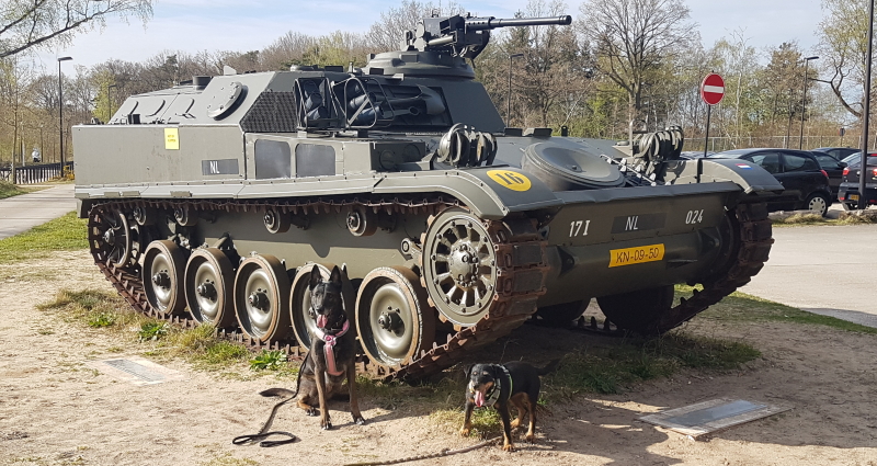 uitje met hond utrecht