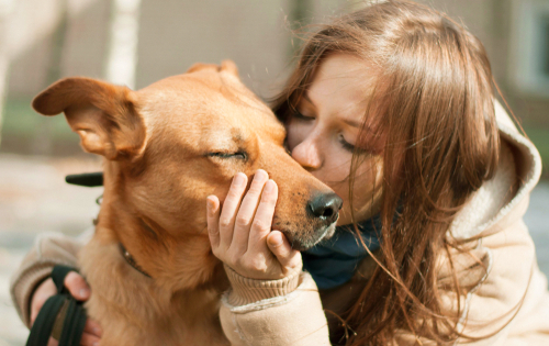 met mijn hond knuffelen