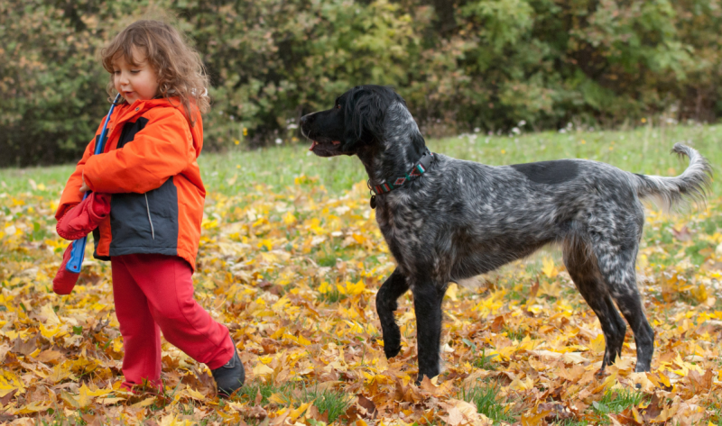 kind en hond veiligheid image