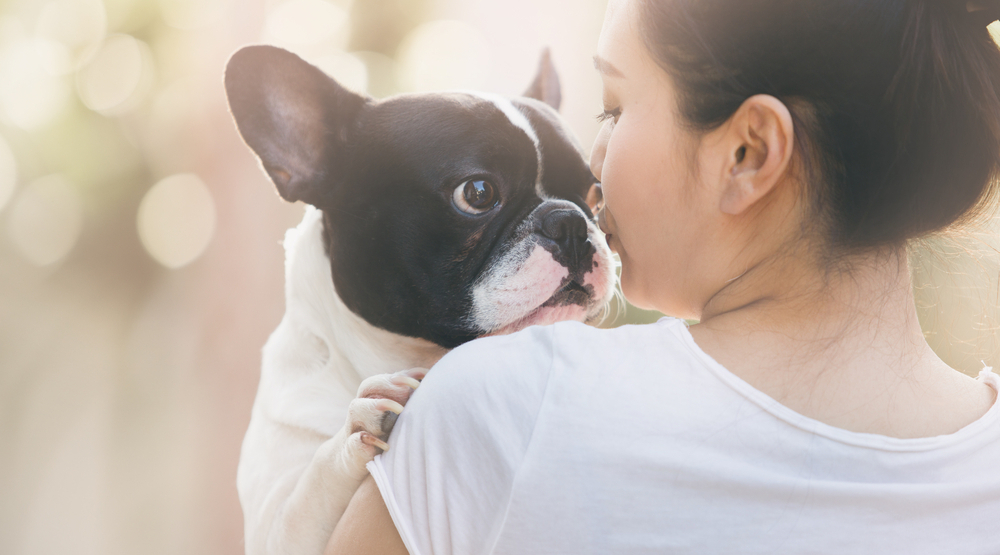 hond hapt naar kind