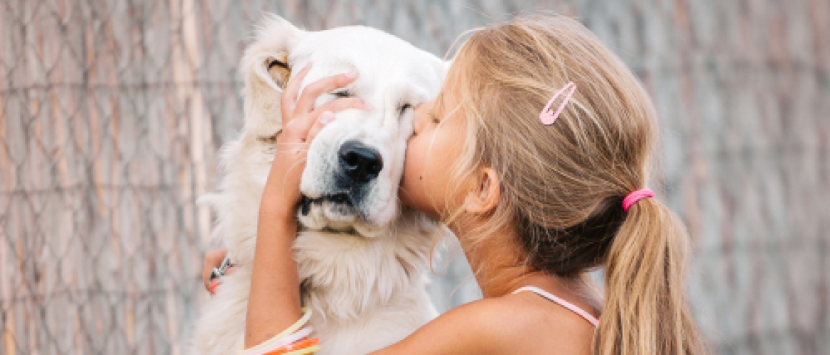 strelen pindas bestrating Je hond knuffelen, is dat veilig en vindt je hond dat wel fijn?