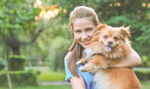 hond gromt met knuffelen