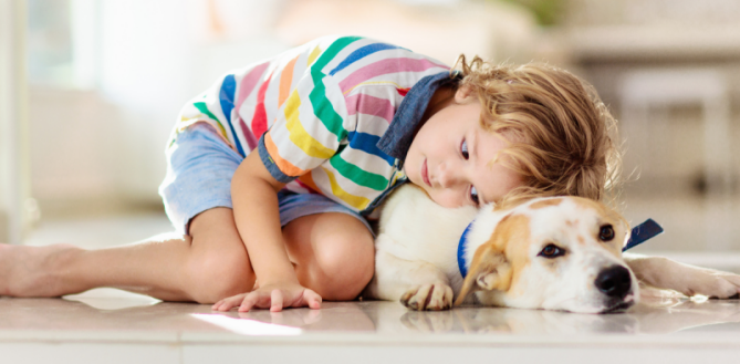 Mijn hond heeft mijn kind gebeten