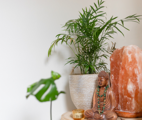 Opleidingen Yvonne Verlicht Leven Opleidingen Yvonne Verlicht Leven