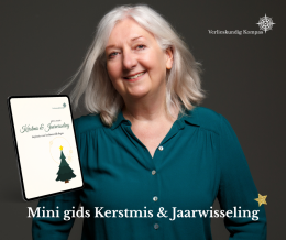 Lichtpuntje cadeau kerstgids