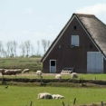 Hogeberg texel