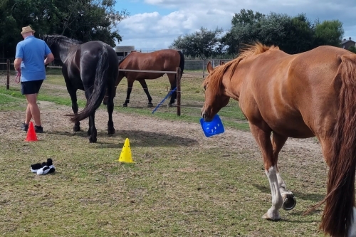 bedrijfstraining texel