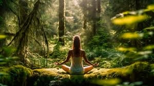Een persoon die een yoga-oefening doet in de natuur, wat de rustgevende en helende aspecten van sport bij herstel van verslaving laat zien.