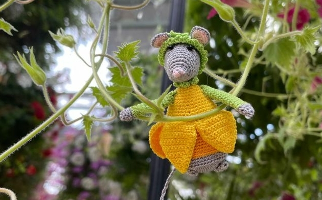 Vestingsmuizen bloemen