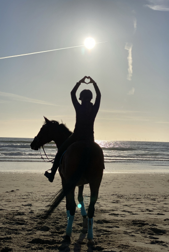Het paard als steun bij jouw proces