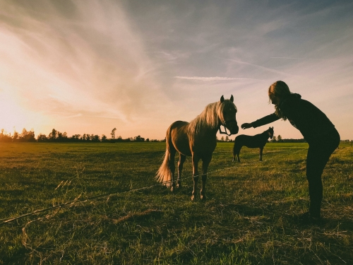 Ervaringsgerichte therapie