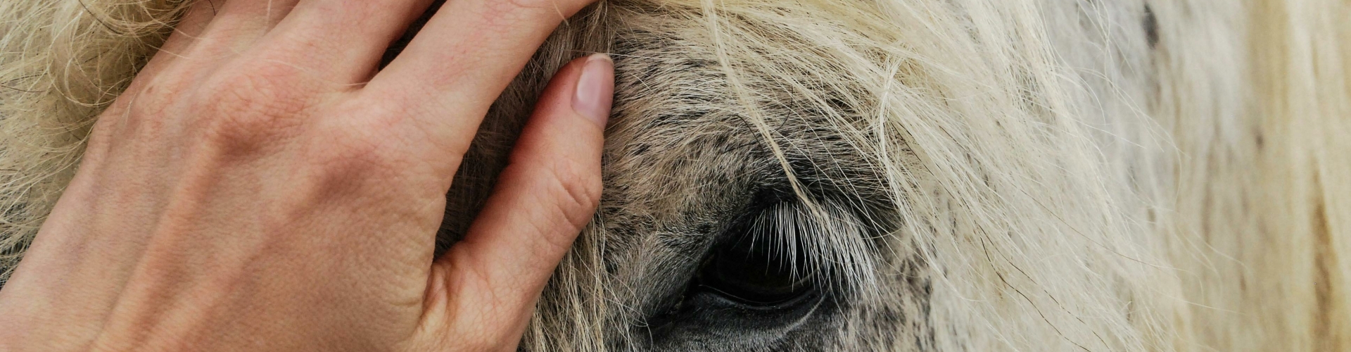 Therapie zonder woorden