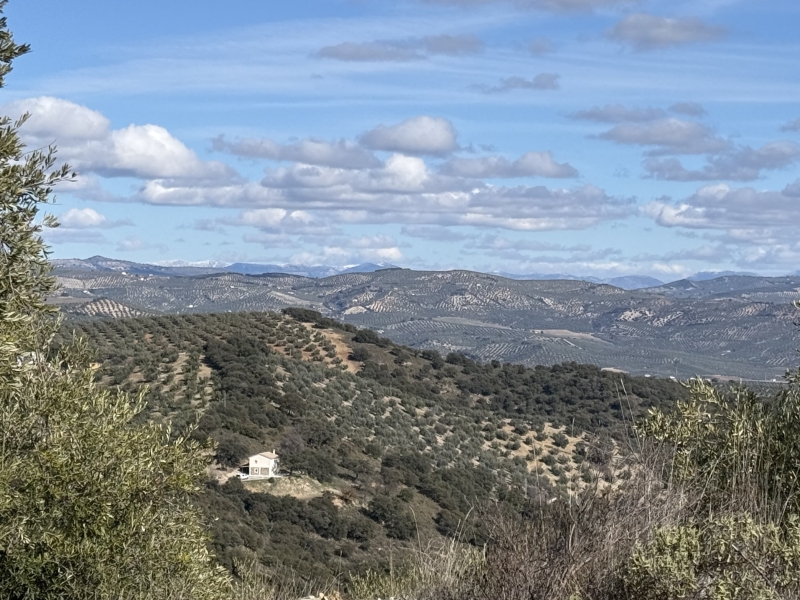 stilte yoga meditatie prive retreat zelfonderzoek zelfkennis