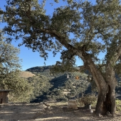 stilte yoga meditatie prive retreat Spanje dreas Gerlinde werken aan jezelf