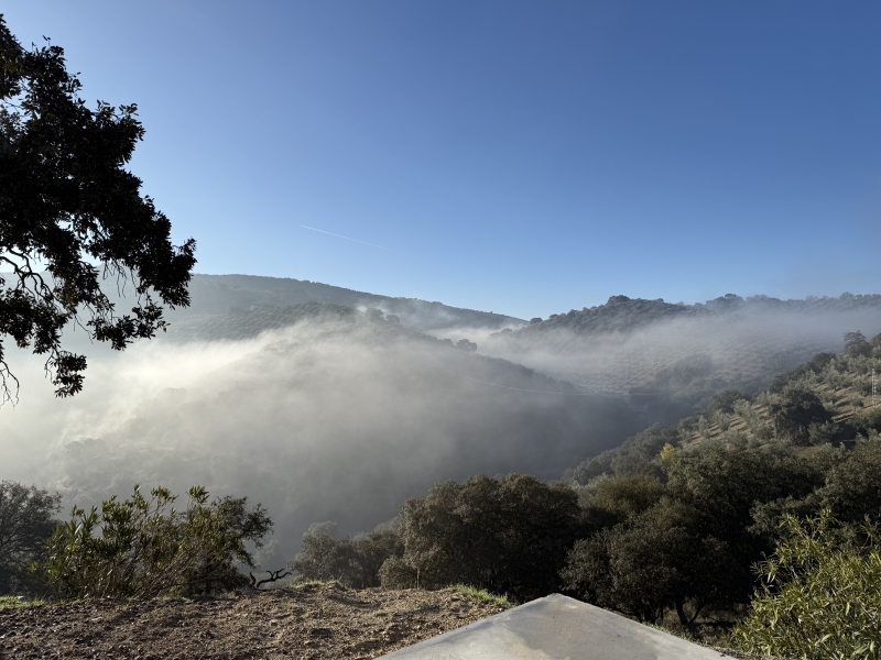 stilte yoga meditatie dreas Gerlinde Spanje prive retreat