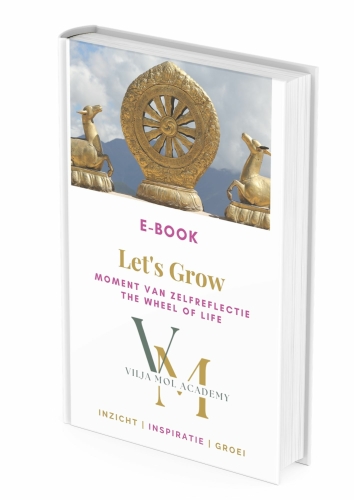 E-book Moment van zelfrefectie Het Levenswiel Vilja Mol Academy