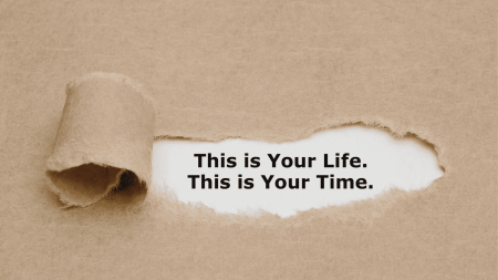 Your Life Your Time Vilja Mol Academy