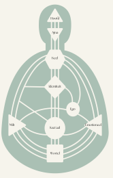 uitleg centra human design