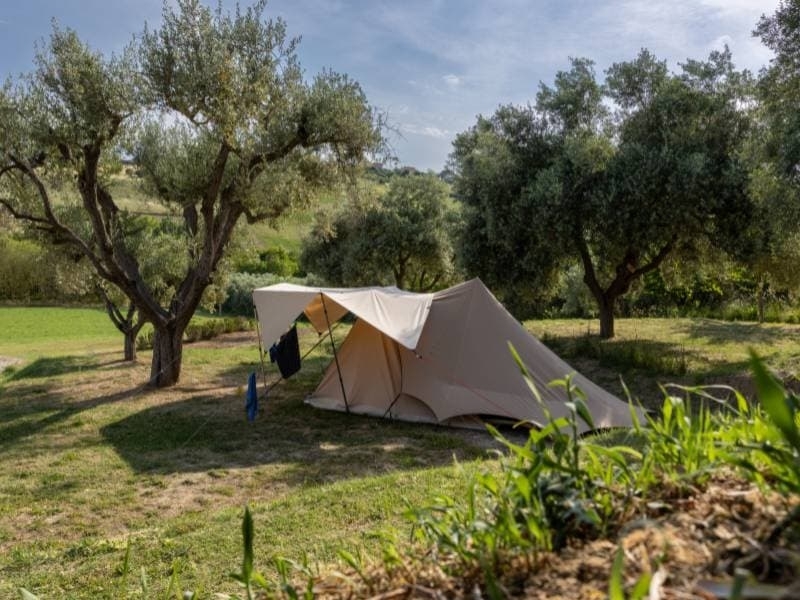 Kampeerplek tussen de olijfbomen Tent op een ruime grasplek tussen de olijfbomen op Vista Fermo, rustig gelegen in de natuur van Le Marche.