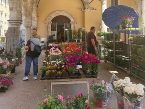 Le Marche markten - Camping Vista Fermo