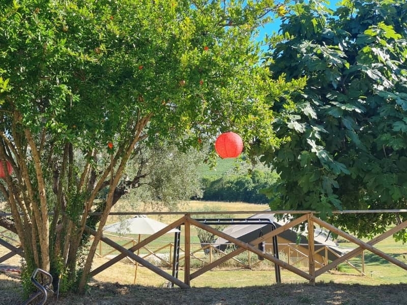 Prachtige dag onder de Italiaanse zon bij Camping Vista Fermo