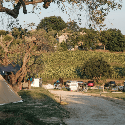 Campingplek Le Marche Camping Vista Fermo