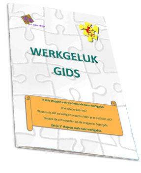 TWG - WerkGeluk Gids