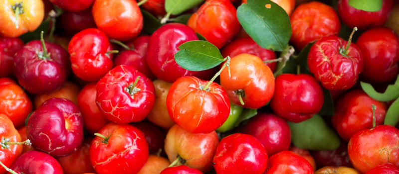 Rood-oranje acerola kersen met groene bladeren, vitamine C rijk