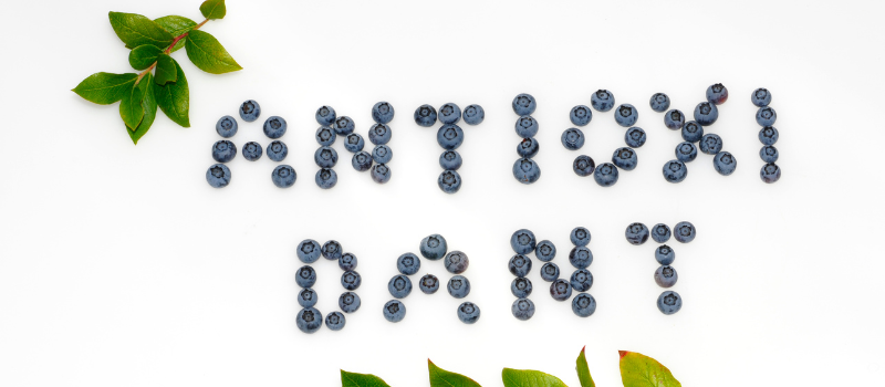 Blauwe bessen vormen het woord antioxidant met groene blaadjes