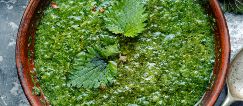 Kom met groene brandnetelsoep en verse bladeren erop