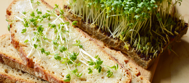 Fijn opgemaakt gerecht met microgreens op een modern bord.