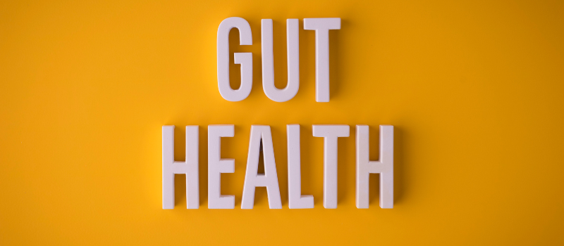 Witte hoofdletters “GUT HEALTH” op gele achtergrond, concept darmgezondheid