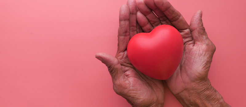 Oudere handen houden rood hart tegen roze achtergrond