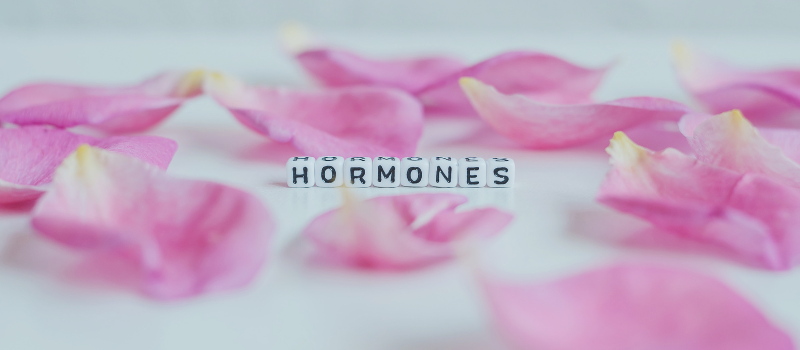 Blokletters met het woord 'hormones' tussen roze bloemblaadjes