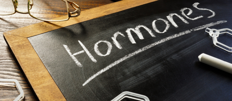 Het woord 'Hormones' geschreven met krijt op een zwart schoolbord