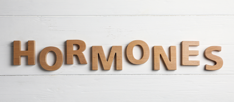 Het woord hormones gevormd met houten letters op witte ondergrond